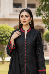 Chikekari Three Piece Suit with Chiffon dupatta