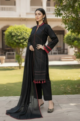 Chikekari Three Piece Suit with Chiffon dupatta